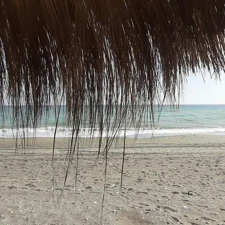 Mar Y Jardin *